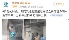 张小寒今日爆料新闻视频,今日热点事件深度解析